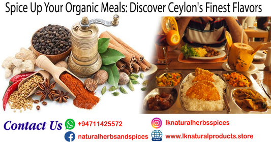 Discovering Ceylon Spices in Organic Cooking