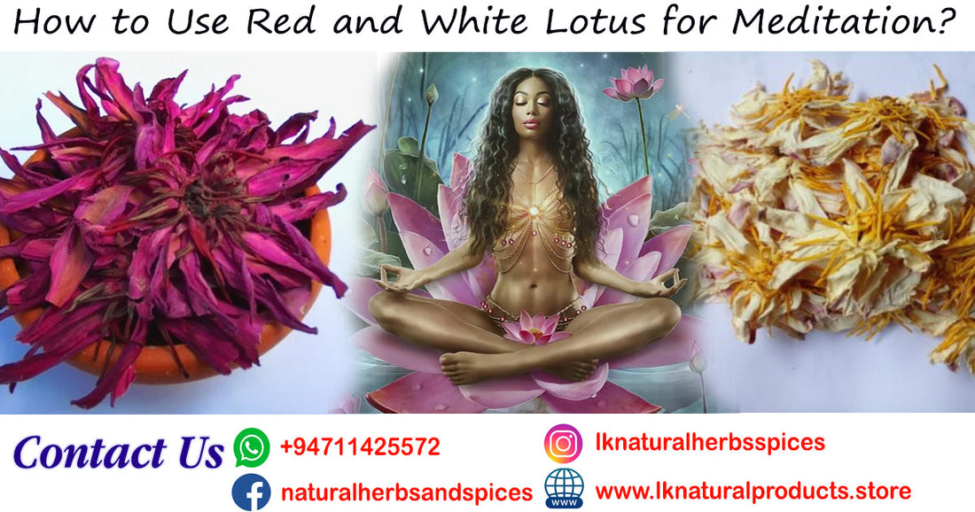 How to Use Sri Lankan Red and White Lotus for Meditation