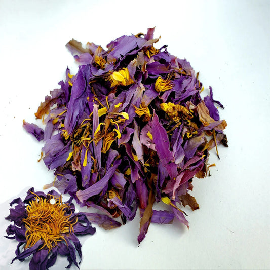 Blue Lotus Flowers Petals & Stamens tea blue lily flower Nymphaea caerulea Lucid Dream