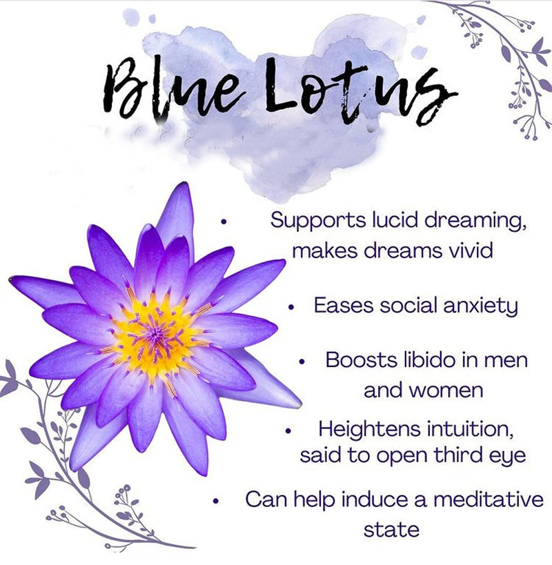 Blue Lotus Flowers Petals & Stamens tea blue lily flower Nymphaea caerulea Lucid Dream